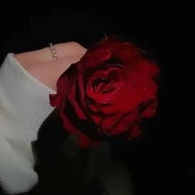 Handan21233's profile picture. 