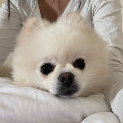 tulinsaccount's profile picture. Medical physics student at @_PNU_KSA minoring in environmental health and safety #ScienceandTechnology #AI #ScientificResearch