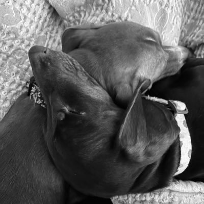 WillDye85's profile picture. What happened to this place ?