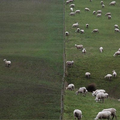 kheisyea's profile picture. barangkali hidup adalah do'a yang panjang.