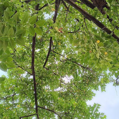 VijayYadav58409's profile picture. 