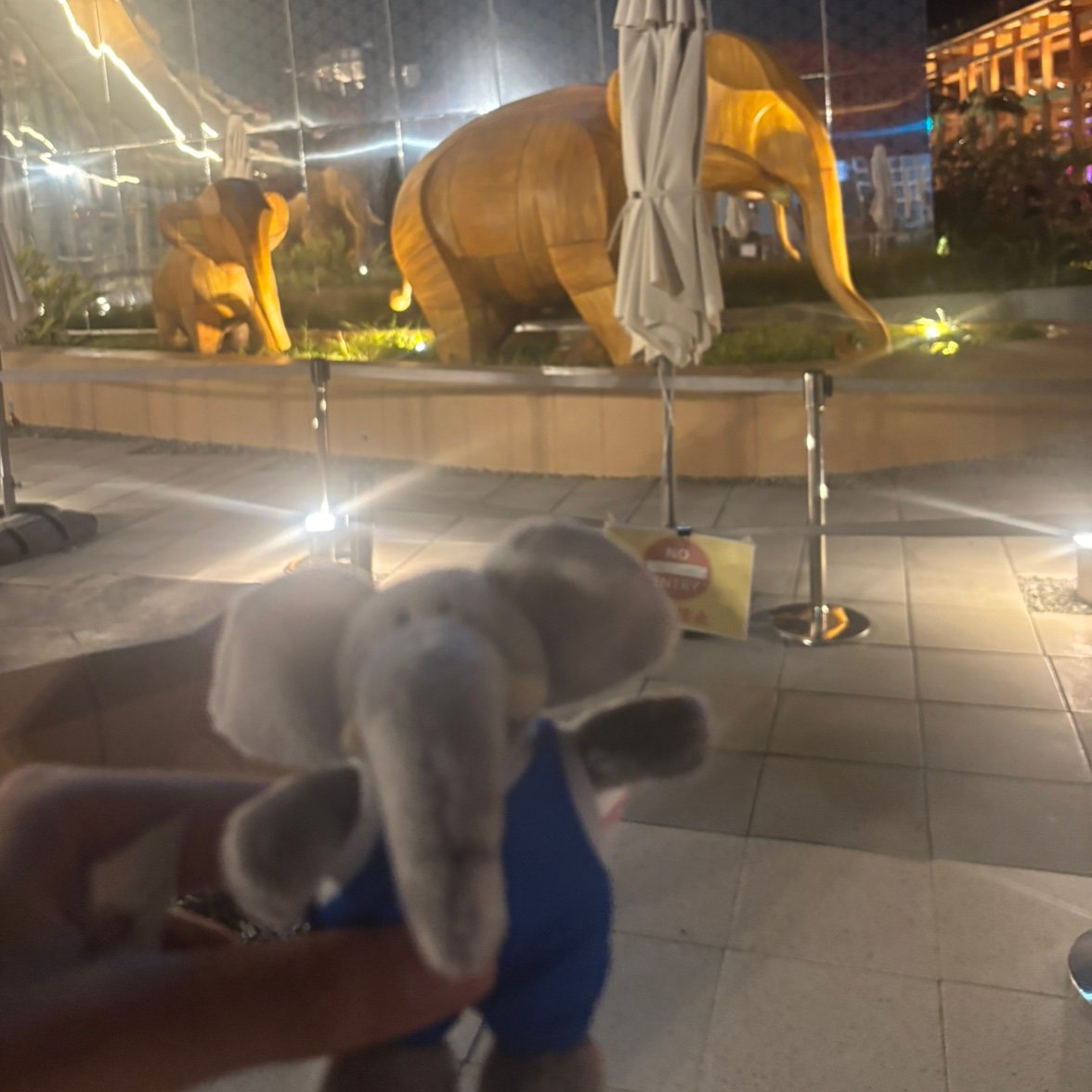 manakoimo0721's profile picture. 