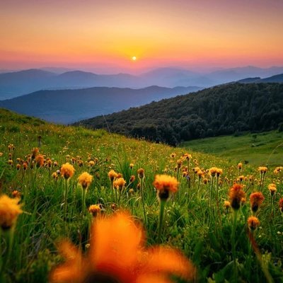 valentine56505's profile picture. 