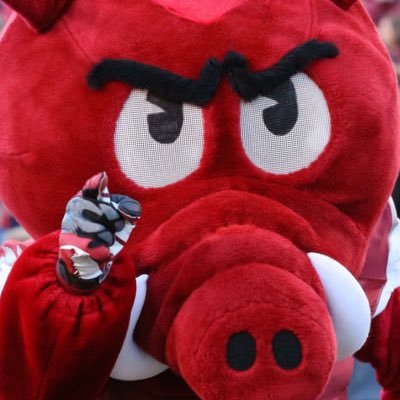 hog_report's profile picture. 