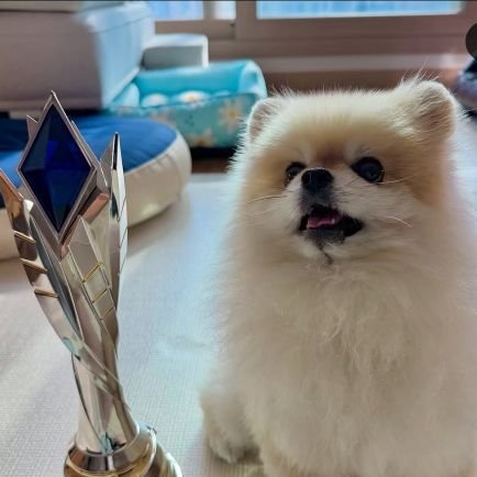 midong_09's profile picture. 팀 구마유시(with뭉탱)/HLE 응원🔥🍊(민형이 중심으로 굴리는 계정이지만 26한화생명 선수들 모두 응원합니디)