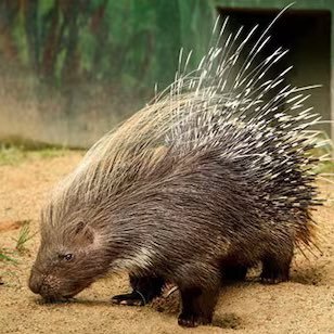 kxiserz_'s profile picture. 안녕