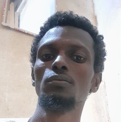 diziobi29's profile picture. 