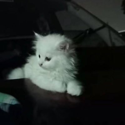 n26xu's profile picture. 