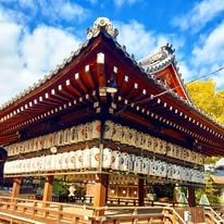 wtinwnzi120055's profile picture. 