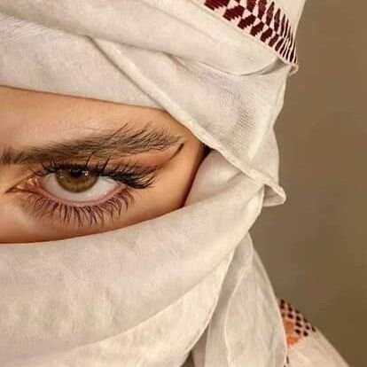 akyol4190's profile picture. 