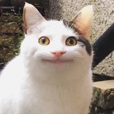 chefniko404's profile picture. Welcome to the kitchen, cooking