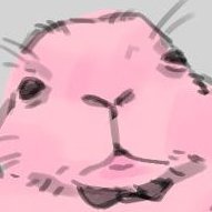 akairo202's profile picture. ⚠️Don't repost, use, edit my work without my permission⚠️ | 20⬆| 블솔(블)(CP&NCP)