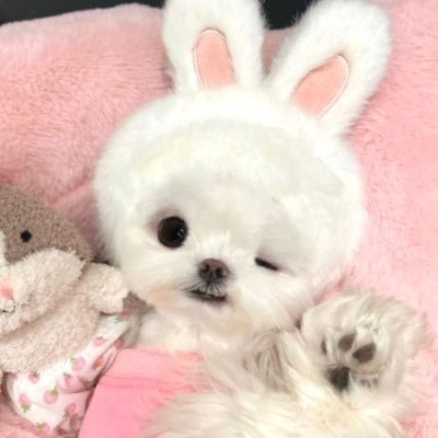 hidababy__'s profile picture. 