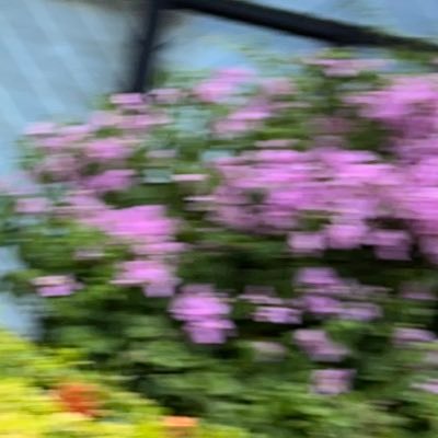 dansolie2024's profile picture. #김혜윤 #KimHyeYoon 🩷✨