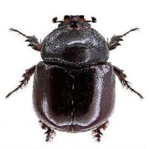 KJ78JVGF004's profile picture. 