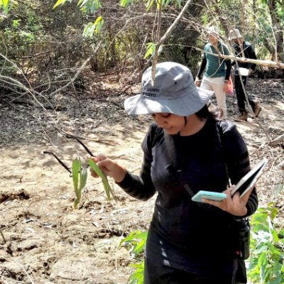 PiyumaliSa01's profile picture. BSc (Hons) Zoology | Aspiring PhD in Taxonomy, Conservation, Zoonoses & Ecology | Exploring the wild through science 🌍🦇