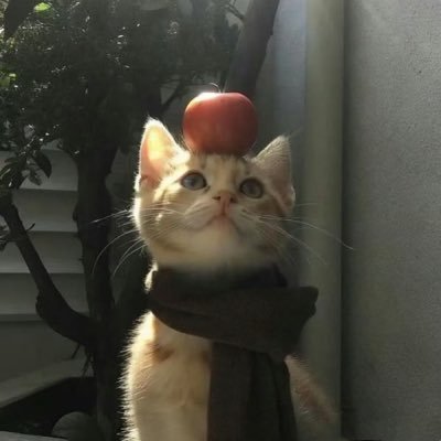 wrongkarwai's profile picture. hand me a gun