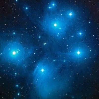 Anh100k's profile picture. 