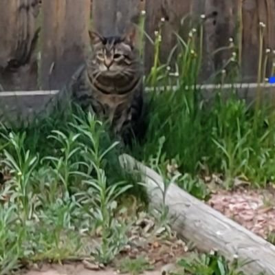 Shantrim413's profile picture. 