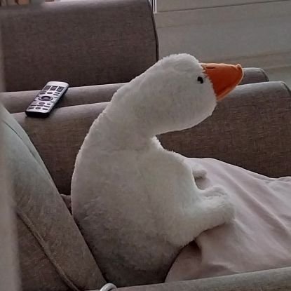 ANPPIFFI's profile picture. 🇰🇷 | KOR ENG JAP | various animations fan