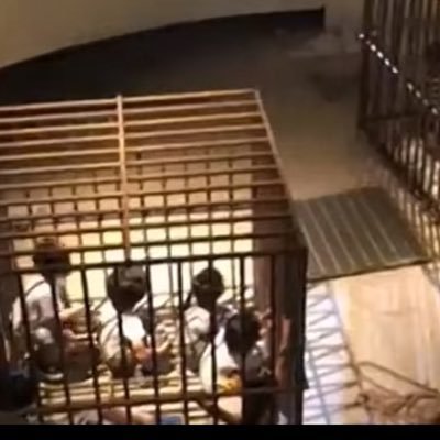 KristyRobe45368's profile picture. 