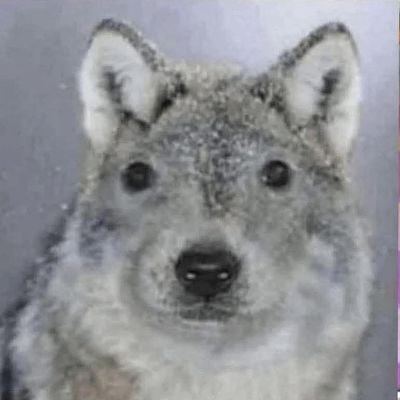 velkan_venegas's profile picture. Soy de chile 🇨🇱
16 años ....
fan de FPE
Sleep