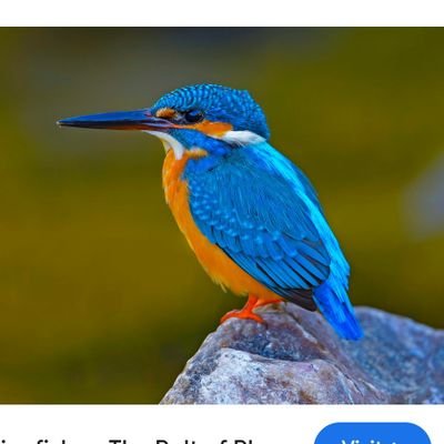 AshokGehlot2028's profile picture. Social Media Influencer       

My Twits are personal