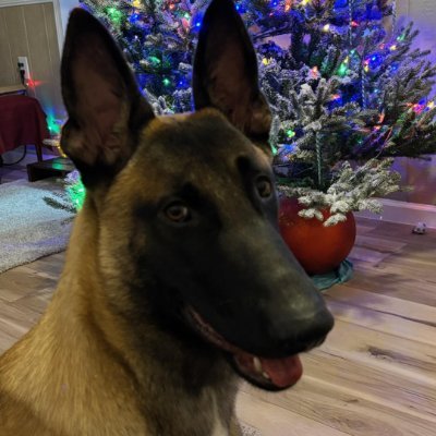 fuckthefed2's profile picture. Maga from Tennessee we love our state but have lost all faith in the federal government! they no longer represent us in any way!