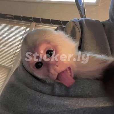 lemaribaju_pais's profile picture. gue jualan baju brand sendiri. bahan premium tebal no tembus-tembus dan masih affordable 🤩

WA : +62 852-1688-8269