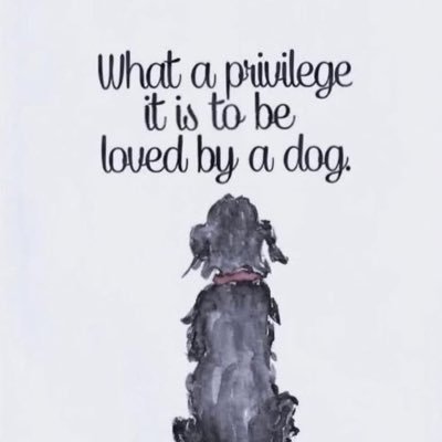 bellachris's profile picture. 