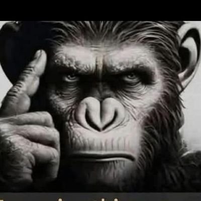 shalikMD1's profile picture. to give light..you must burn.🔥