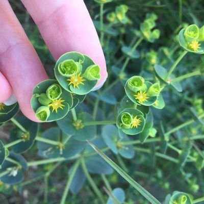 orinto_ohio's profile picture. Emotions cry )/( but patterns don’t lie.