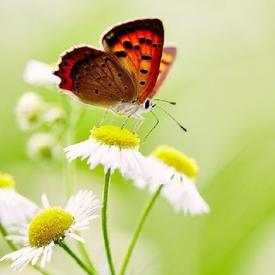 KGood6936's profile picture. 