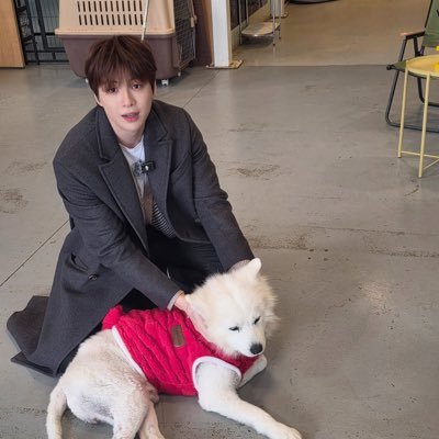 Linda68368117's profile picture. Runway : Walk to Daniel 12/13 to 14