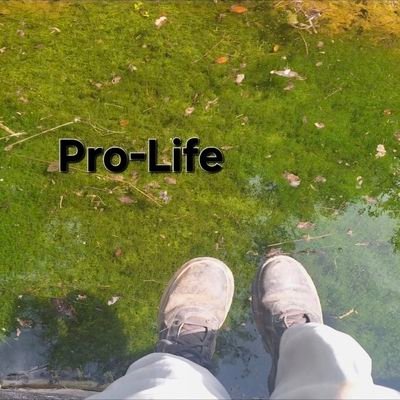 CimanomRoll's profile picture. DMs open. Why are children today treated the wrost from all society? Children in the womb are valuable people. End abortion