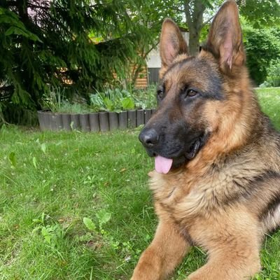 GailGailandgil's profile picture. 