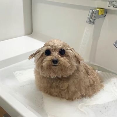 SwxQ8rbs's profile picture. n=1 駿台お茶筑波理工志望
縮小@QrLCnzDnqD53962