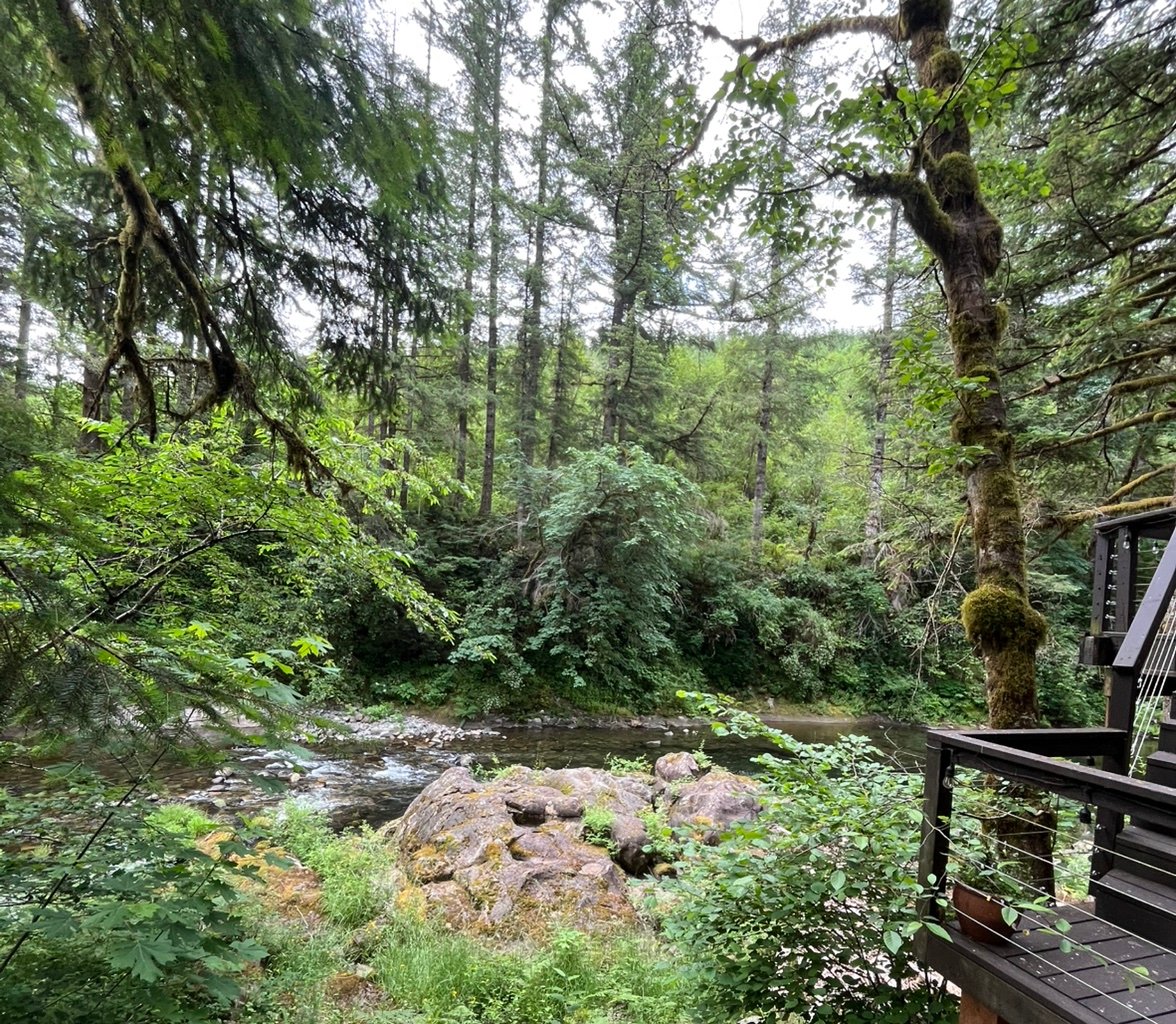 CallyWag52's profile picture. 