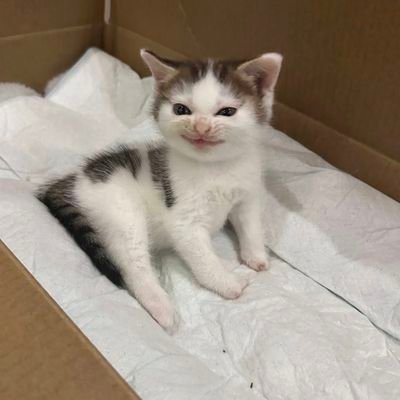 Espress00_'s profile picture. 😐