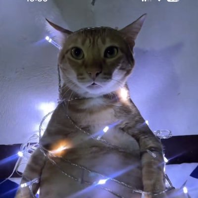 MaximeFN2k24's profile picture. 🇧🇪 | https://t.co/NpXl0my93R