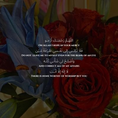 _itsMub's profile picture. Own views & Likes/Retweets ≠ Endorsement