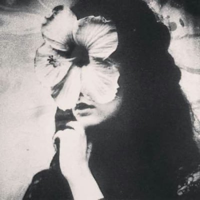 K5F0N3's profile picture. عابرين وما على الدنيا ضمان يالله الجنة وحسن الخاتمة