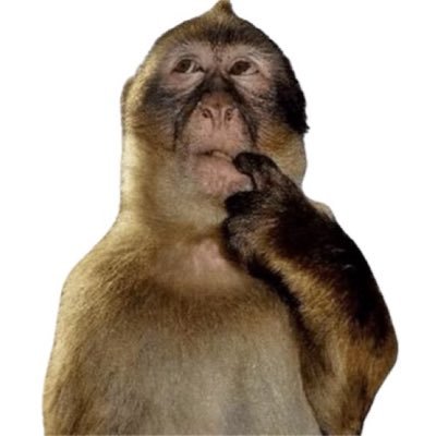 Damonyapss's profile picture. 24 |🩺