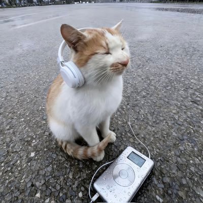 JIAXR97's profile picture. 痛苦是最好的老师