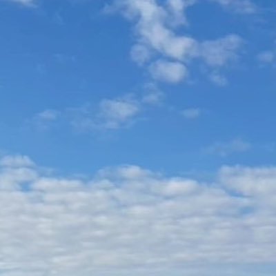 east_hara_R's profile picture. 