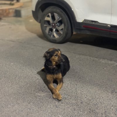 buahaancmp's profile picture. cool aid 🆒