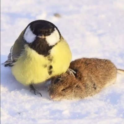 EseConActitud's profile picture. 