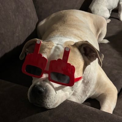 ordinary_witch8's profile picture. Whoever said that diamonds are a girl’s best friend, never owned a dog. 🐾