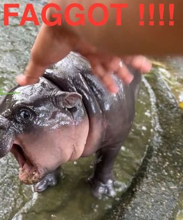 ggoverdrive_'s profile picture. 