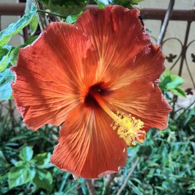 Ektashah27's profile picture. random tweets.